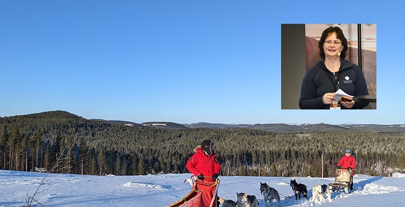 Camilla Jönsson, Naturturismföretagen