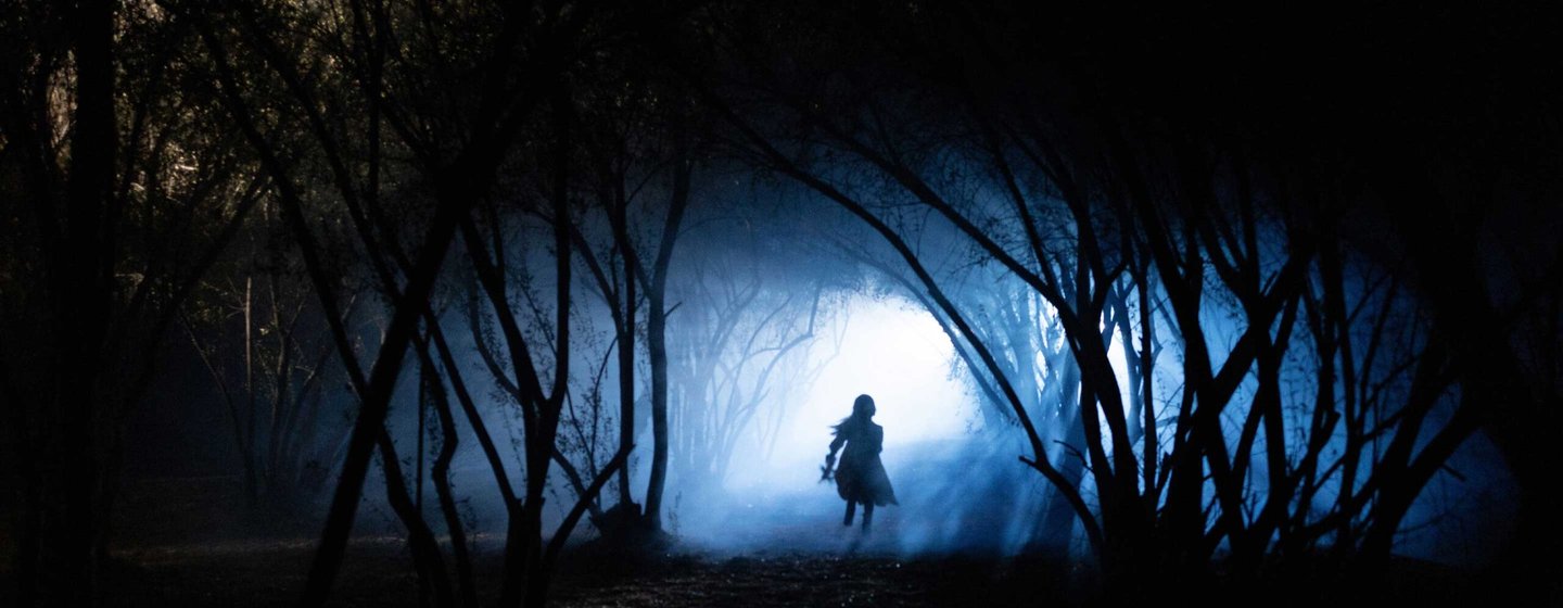 Skeletons in the Closet