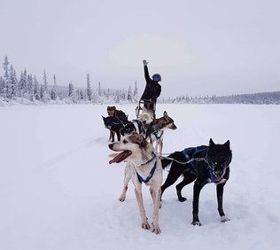 Arctic Dogsled Adventure three days tour