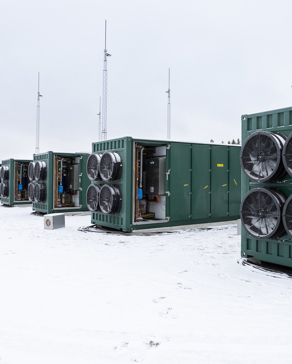 Flower, flexibility, dot com boom