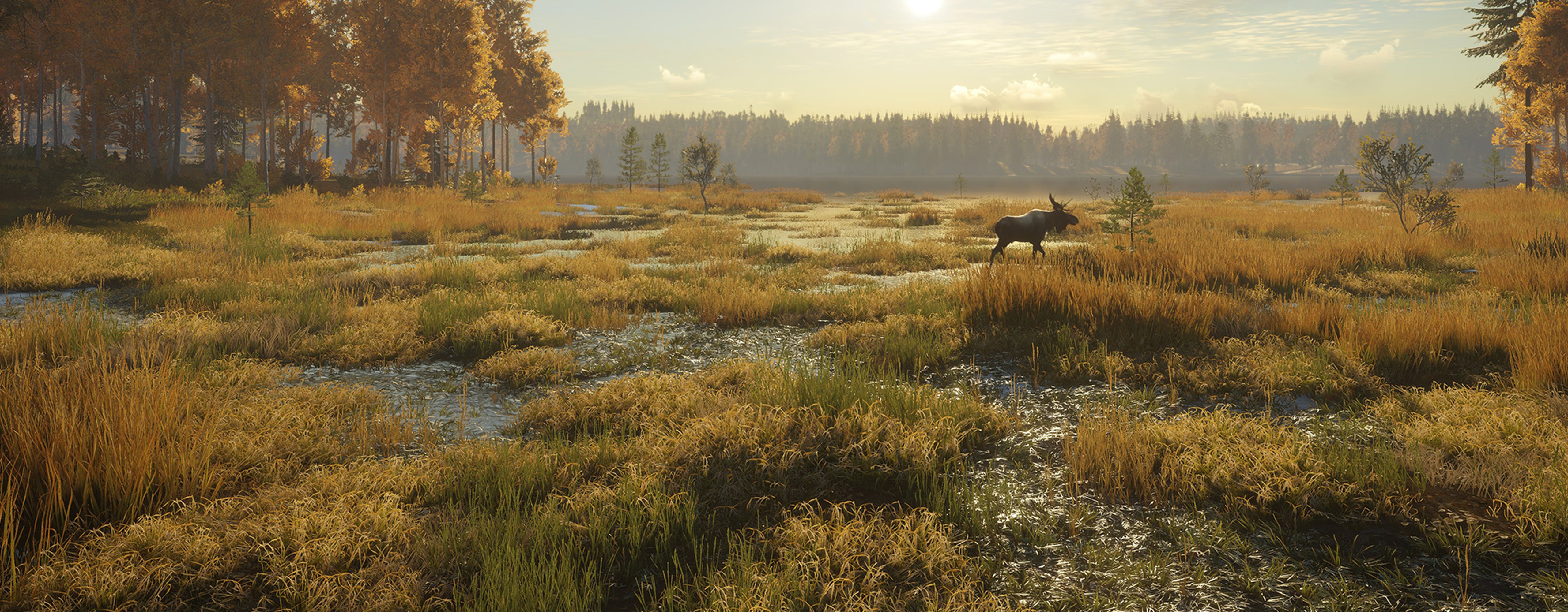 A moose roaming the flark bogs of Revontuli Coast.