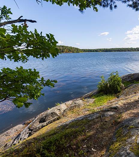 Klockelund erbjuder många fina platser längs Drevvikens strandkant