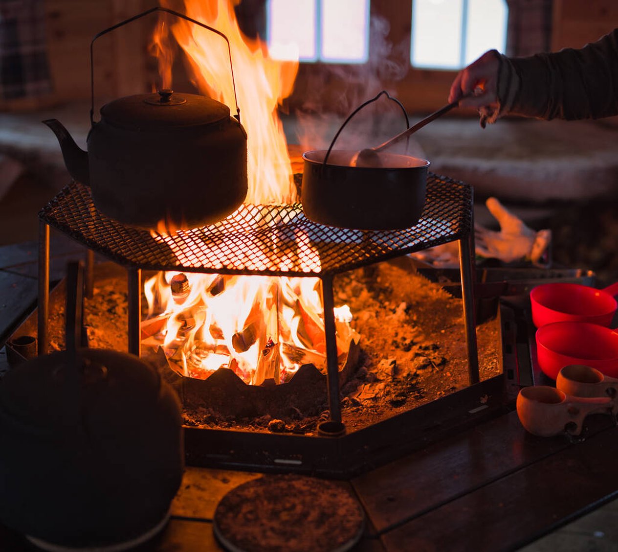 Skotertur med Arctic dogsled adventure