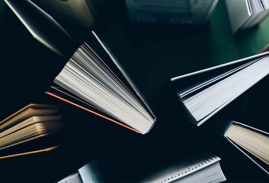 Stadsbidrag för inköp av litteratur