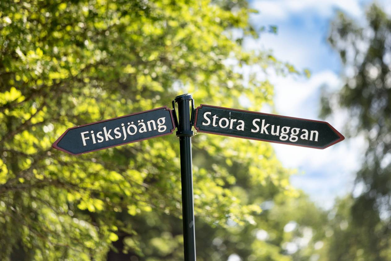 Åke Sundvall