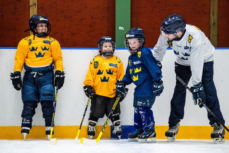 Introduktion för dig som är tränare inom ishockeyn
