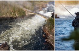 Ökat intresse för fiske och vildmarksliv