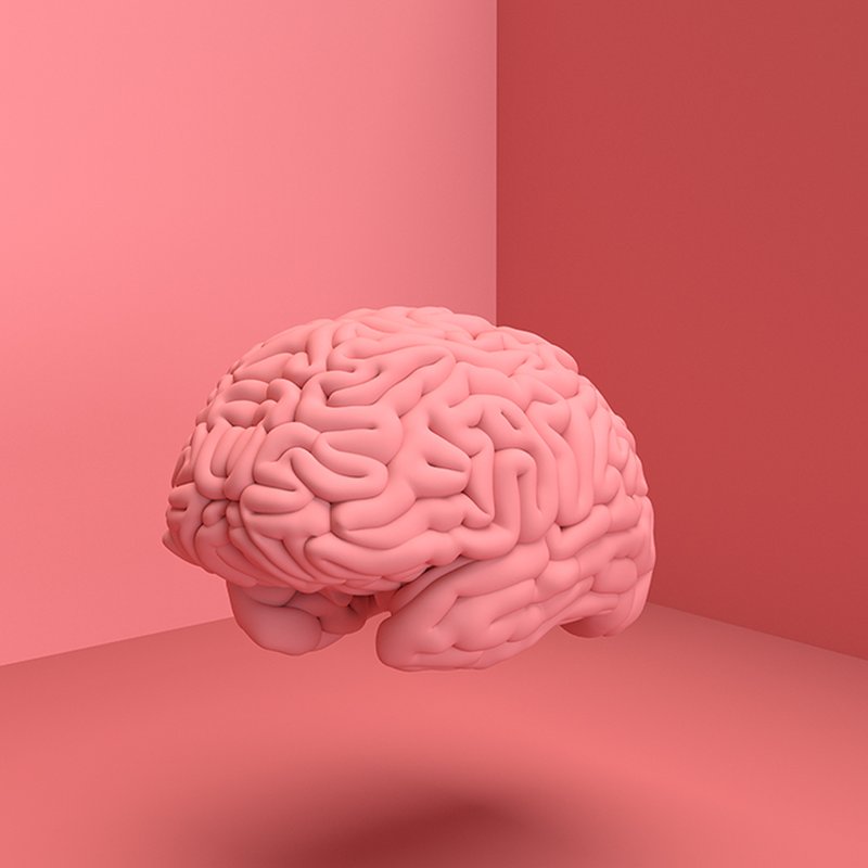 8 intressanta boktips som lär dig mer om hjärnan