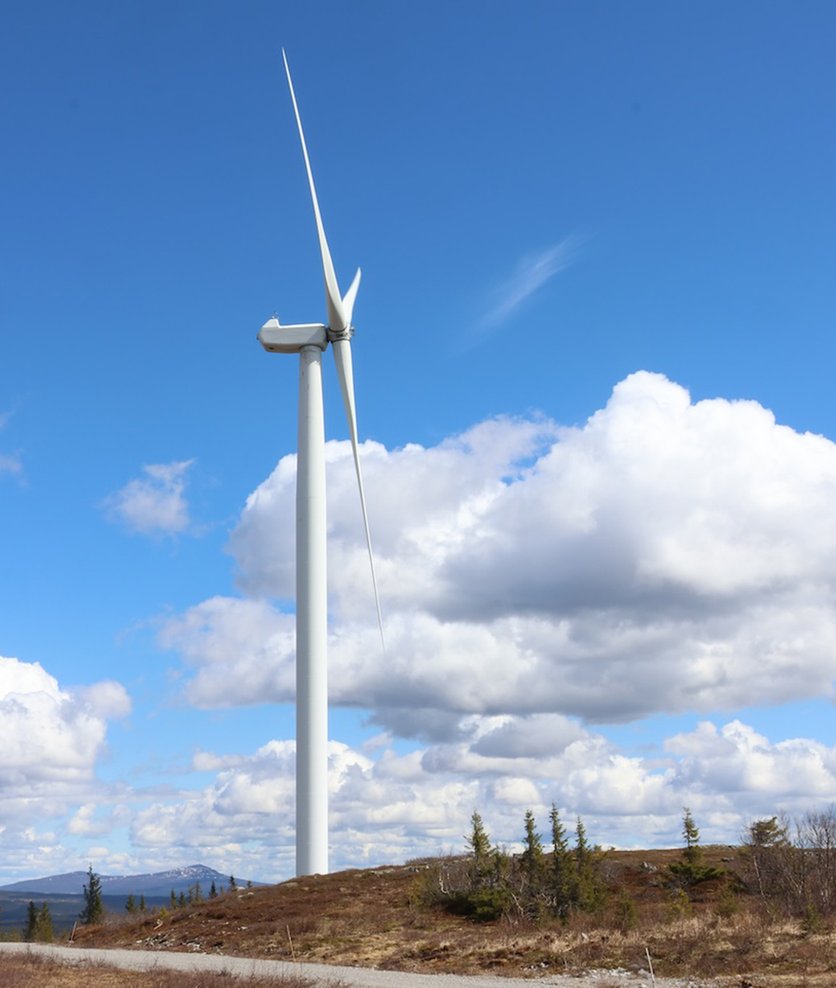 Renewable power, Flower, PPA, Green Baseload