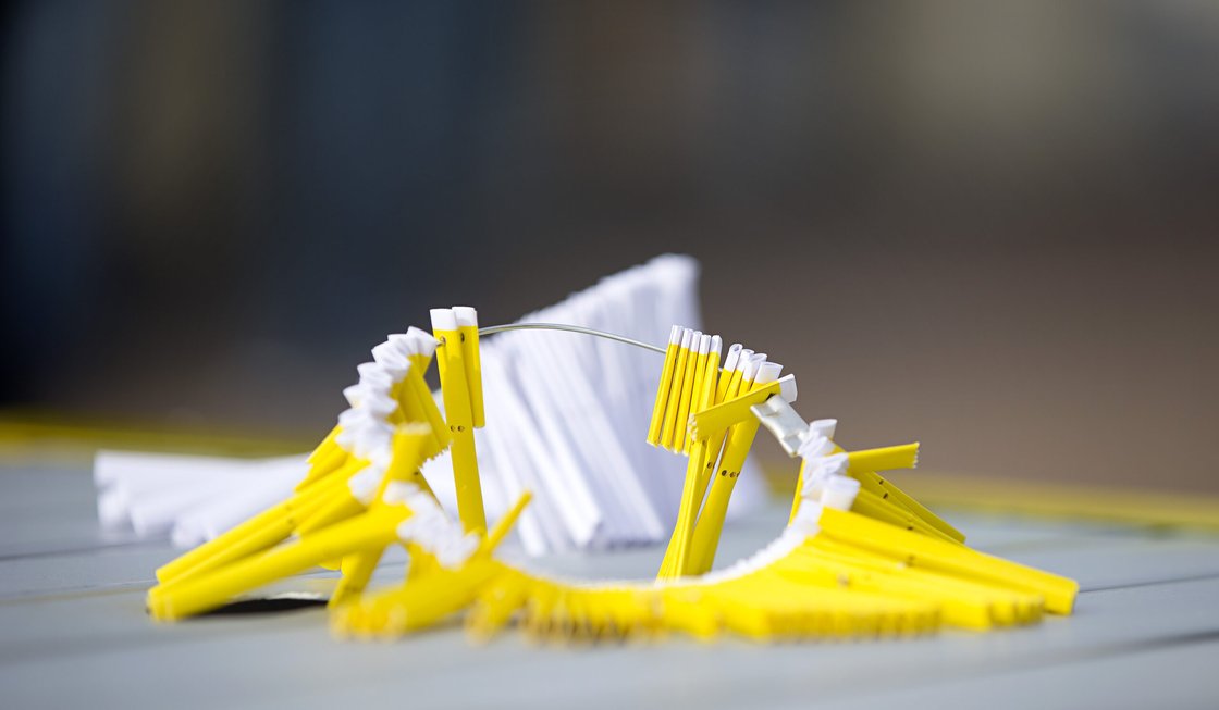 Gula lotter i en ring ligger på bord.