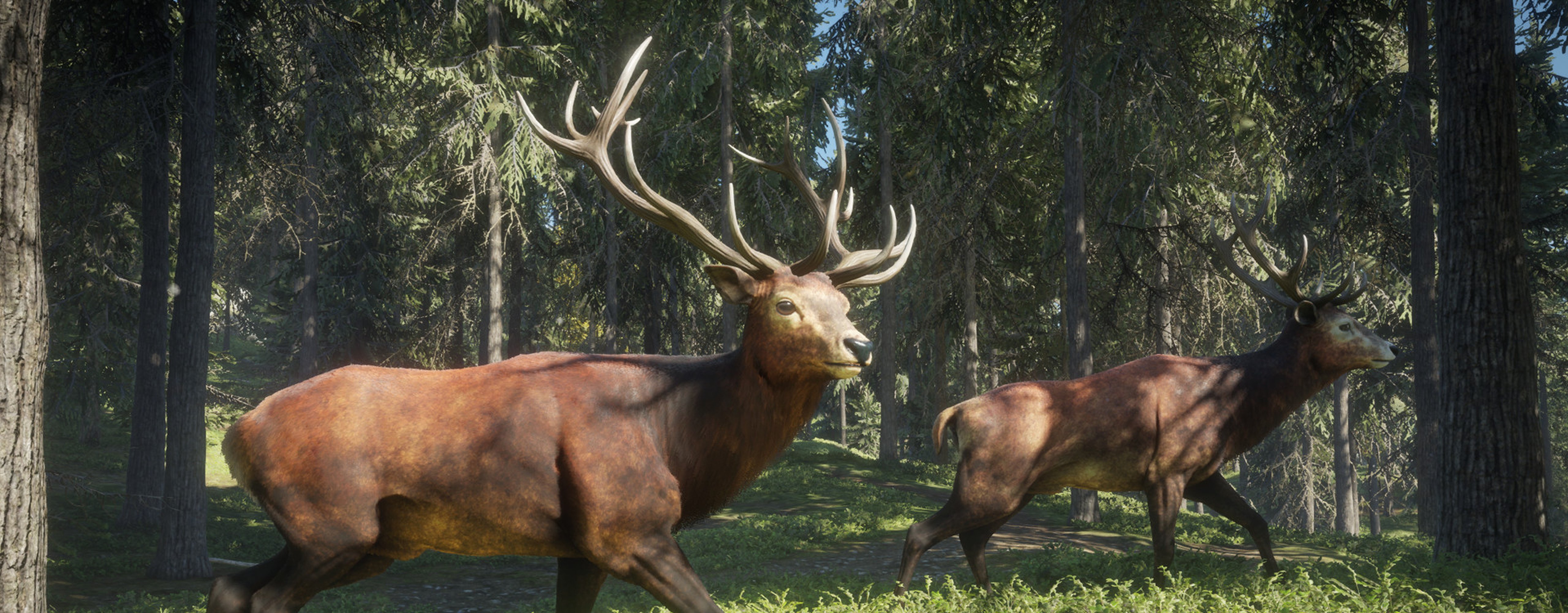 theHunter: Call of the Wild 2021 Edition is now available on PC and  consoles - Saving Content