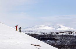 Avskalad upplevelse i Tänndalen prisas