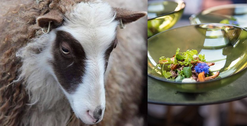 Gotland Gastronomy Week arrangeras den 26-29 april. 