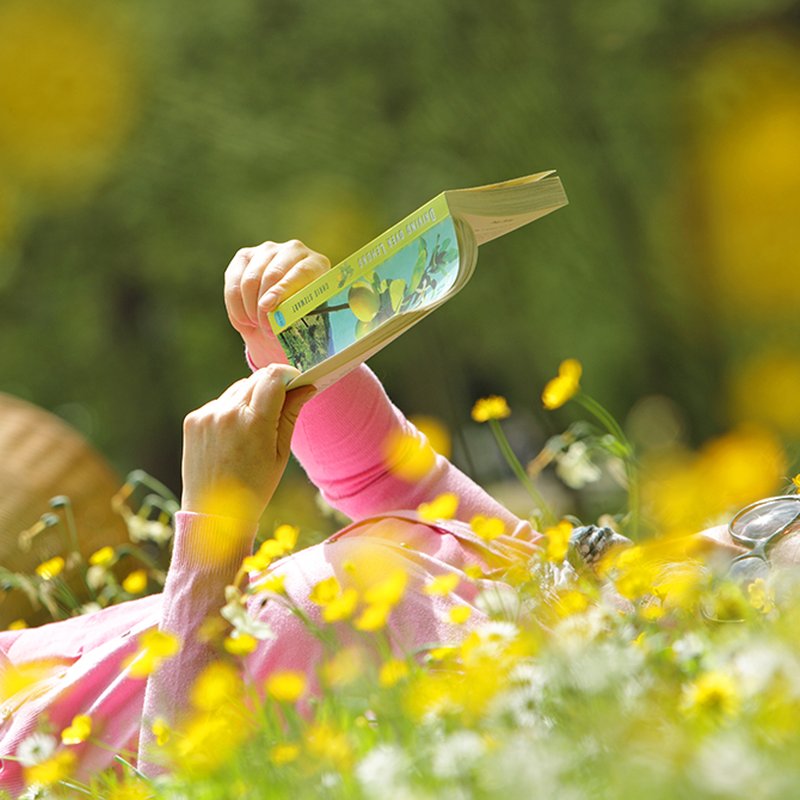 5 sommarböcker att läsa om och om igen