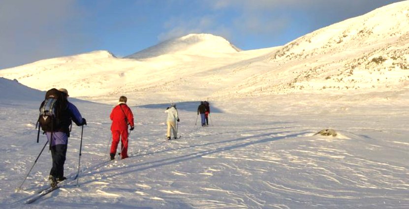 KD och M höjde momsen på naturguider från 6 till 25 procent i sin budget. <br />
Om regeringen 