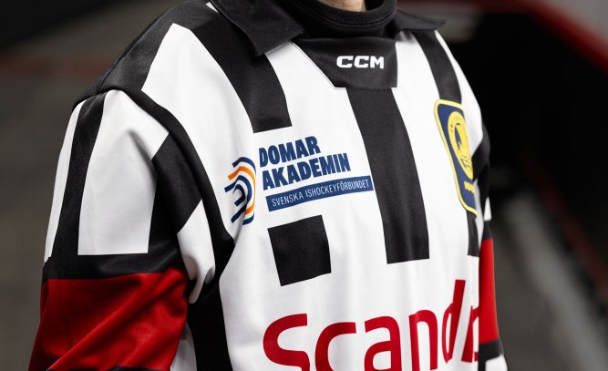 Vad mer vill du se på Domarakademin?