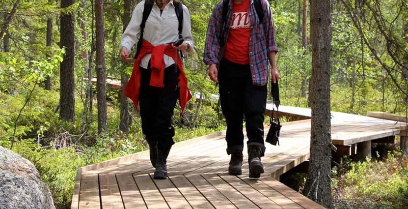 Nu hoppas parkens förvaltare att lokala företagare i Åsele och Södra Lappland hänger med på tåget och lockar till turism. 
