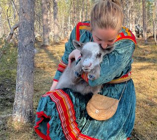 Renkalvsmånaden i maj med Go to Lapland