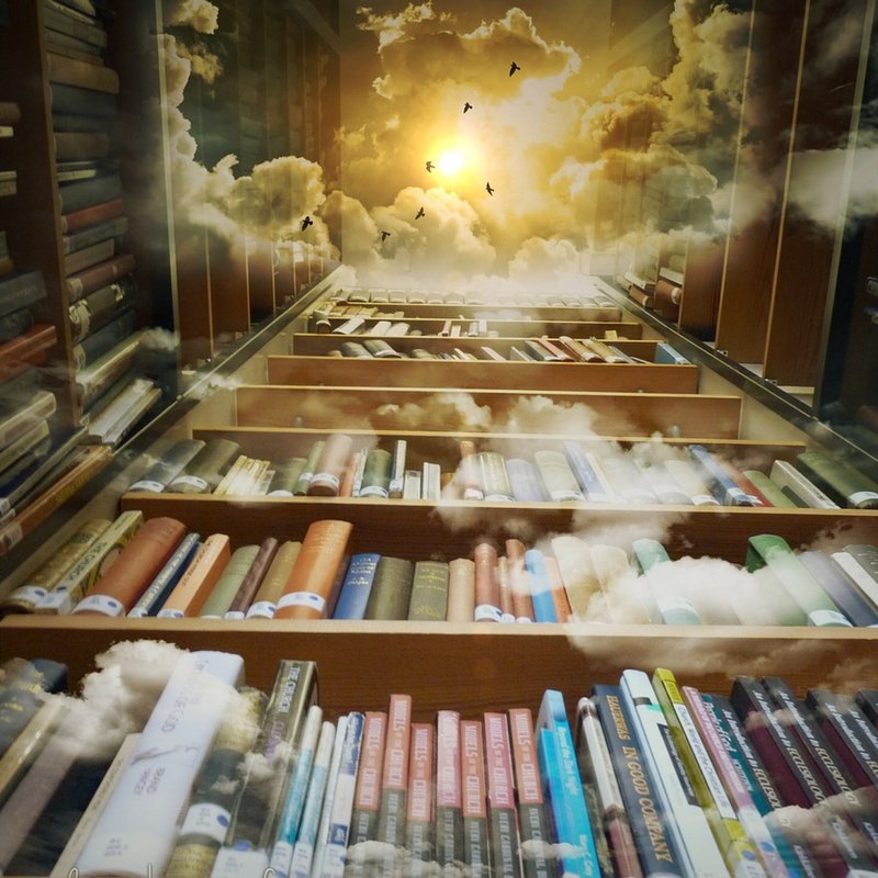 6 sagolika bibliotek att vila ögonen på