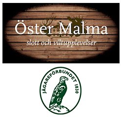 Operativ VD