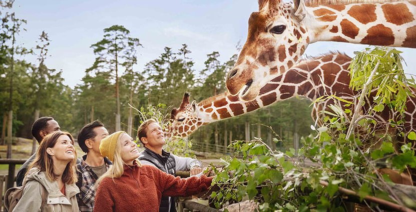I dag drar Årskortsdagarna i gång på Kolmården. Foto: Beatrice Graalheim/Parks and Resorts