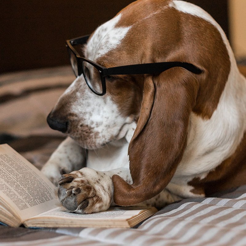 Redaktionens boktips: Det här läser och lyssnar vi på i april 2020