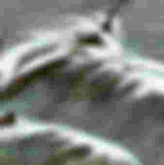 A lifeboat rescuing passengers from the ship Alarm in the 1860s.