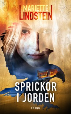 Sprickor i jorden