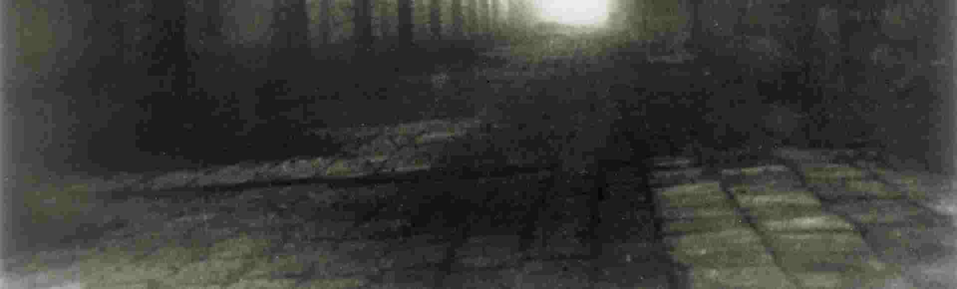 A view of the wire perimeter fence at Auschwitz. Credit: Chronicle