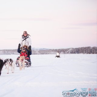 Snowdog polar sunrice eco experience
