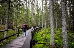 ”Regeringens förslag slår mot naturturismen”