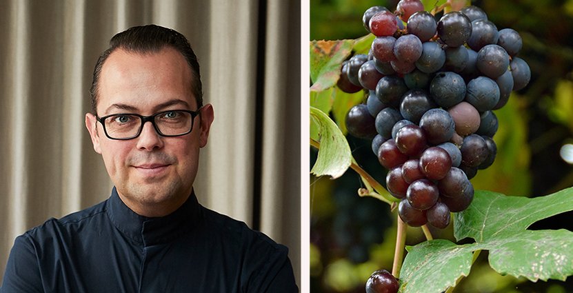 Med sina 53 medlemsländer och tiotusentals medlemmar världen över, arbetar ASI för att utveckla sommelieryrket. Foto: Bohman+Sjöstrand