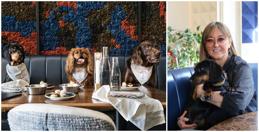 Hundarna trivs på Artilleriet FOTO: Robin Grann / Denjo Dogs Carina Degen Örn FOTO: Per Sandberg
