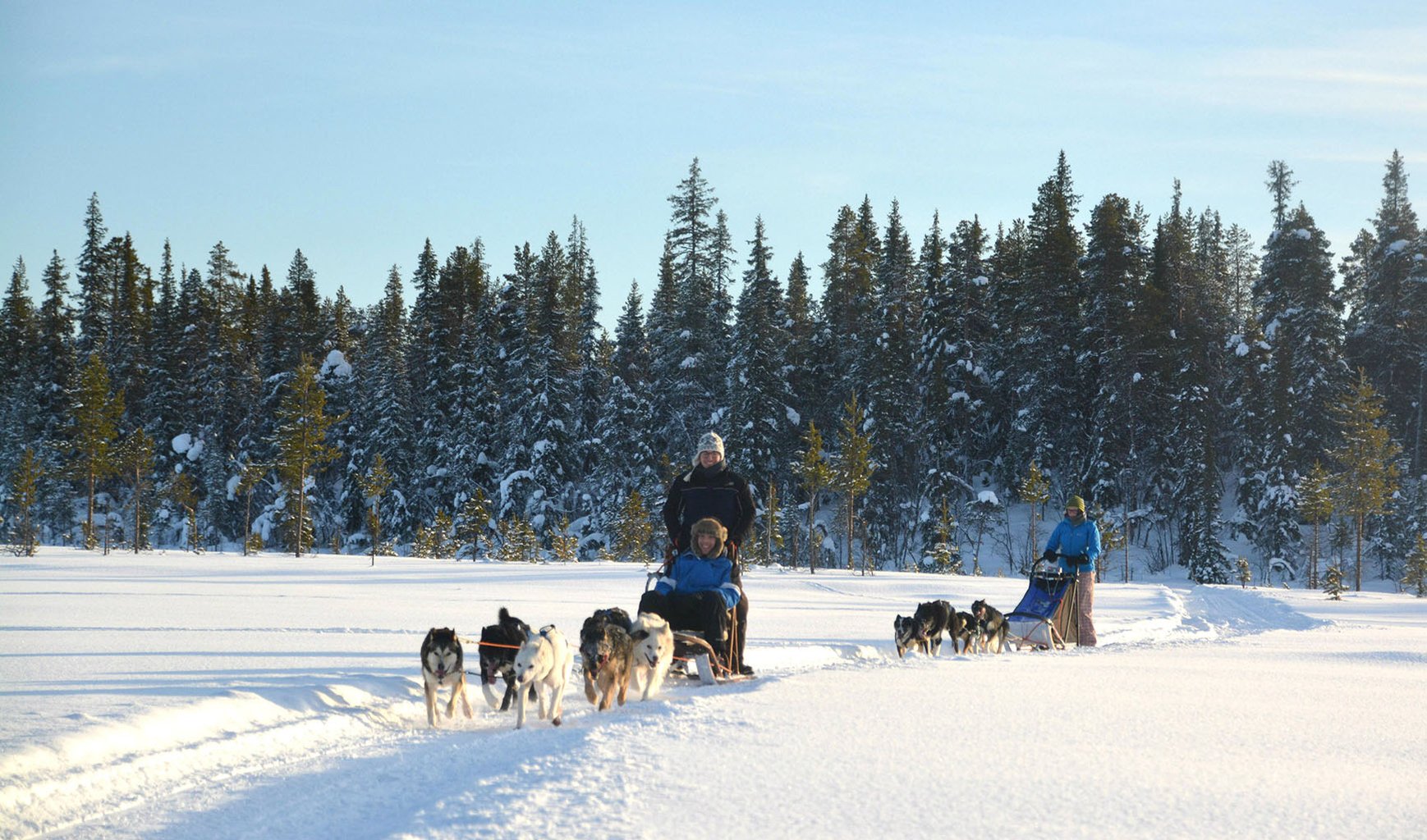 Husky Tours Lapland