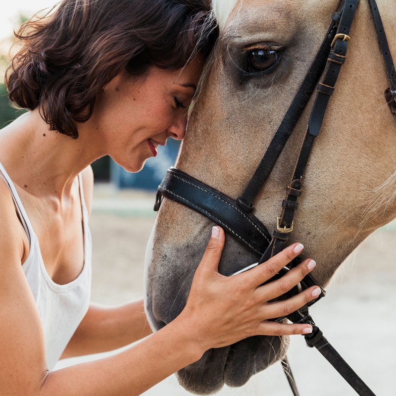 Älskar du hästar? Här är 9 böcker för dig