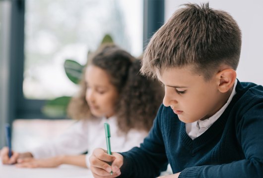 L&auml;rarhandledningar