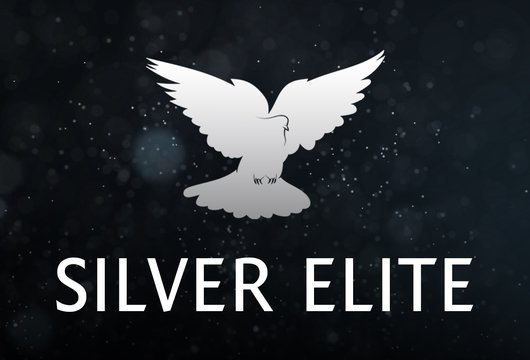 Silver Elite