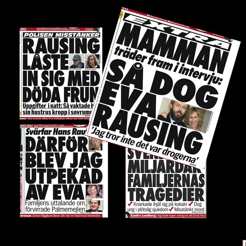 Läs ett utdrag ur 