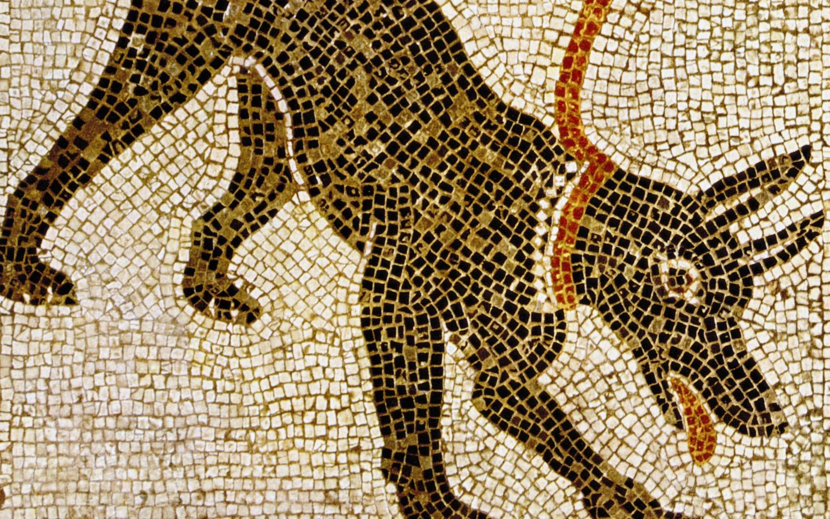 Mosaic of a dog in Pompeii.