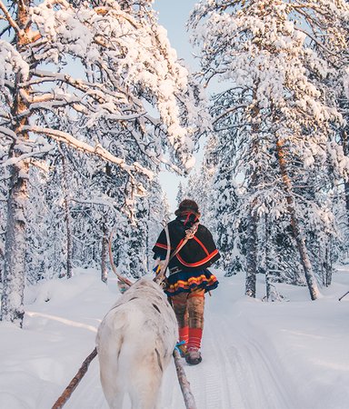 Sápmi i litteraturen – här är 8 boktips