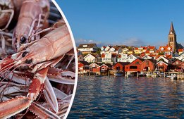 Bohuslän växlar upp kampen om turisterna