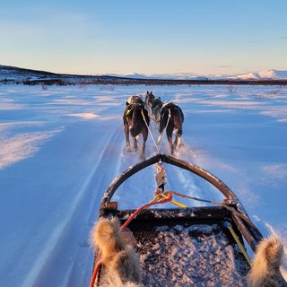 Husky dreams lunchtur