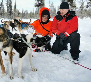 Arctic Dogsled Adventures drive your own dogteam daytour