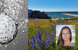 Kortare duschar på Gotland i sommar