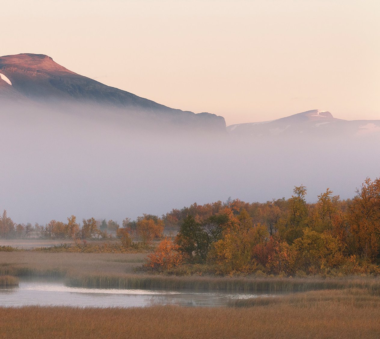 Naturfoto höst i Kiruna med Scandinavian Photoadventures