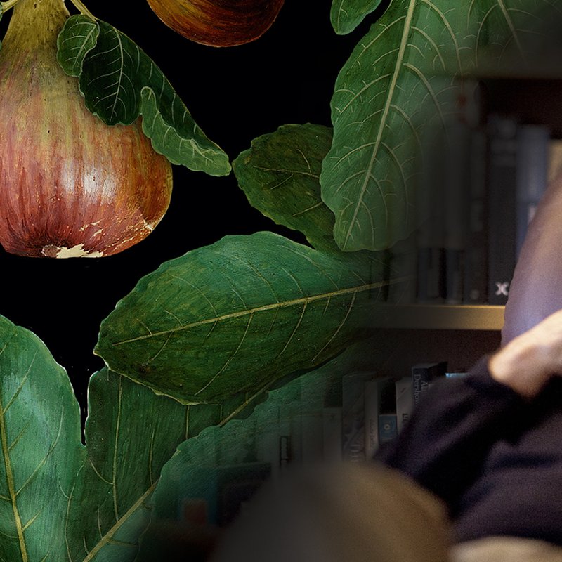 Amos Oz: ”Historien om Judas har förbryllat mig sen tonårstiden”