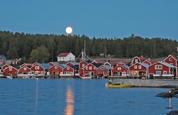 Rekordsommar spås för svensk turism