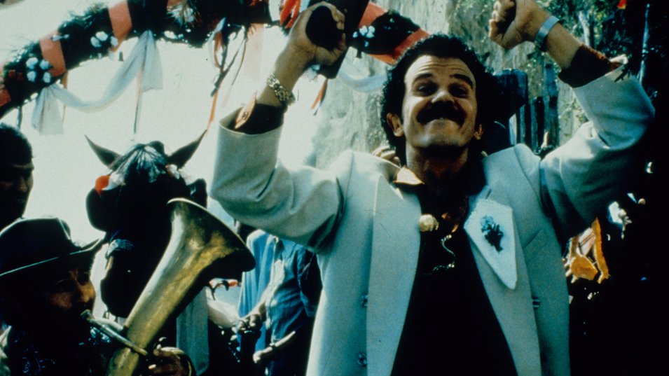 Black Cat, White Cat