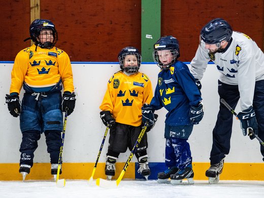 Introduktion för dig som är tränare inom ishockeyn