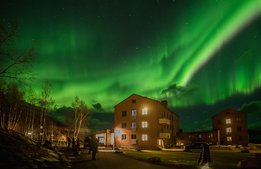 Så vill utländska gäster upptäcka svensk naturturism